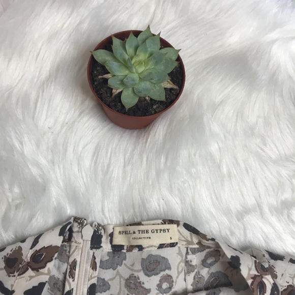 Spell Delirium 🐘 Maxi Skirt in Cream - Picture 5 of 8